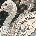 Two Turkeys In Nature Scene